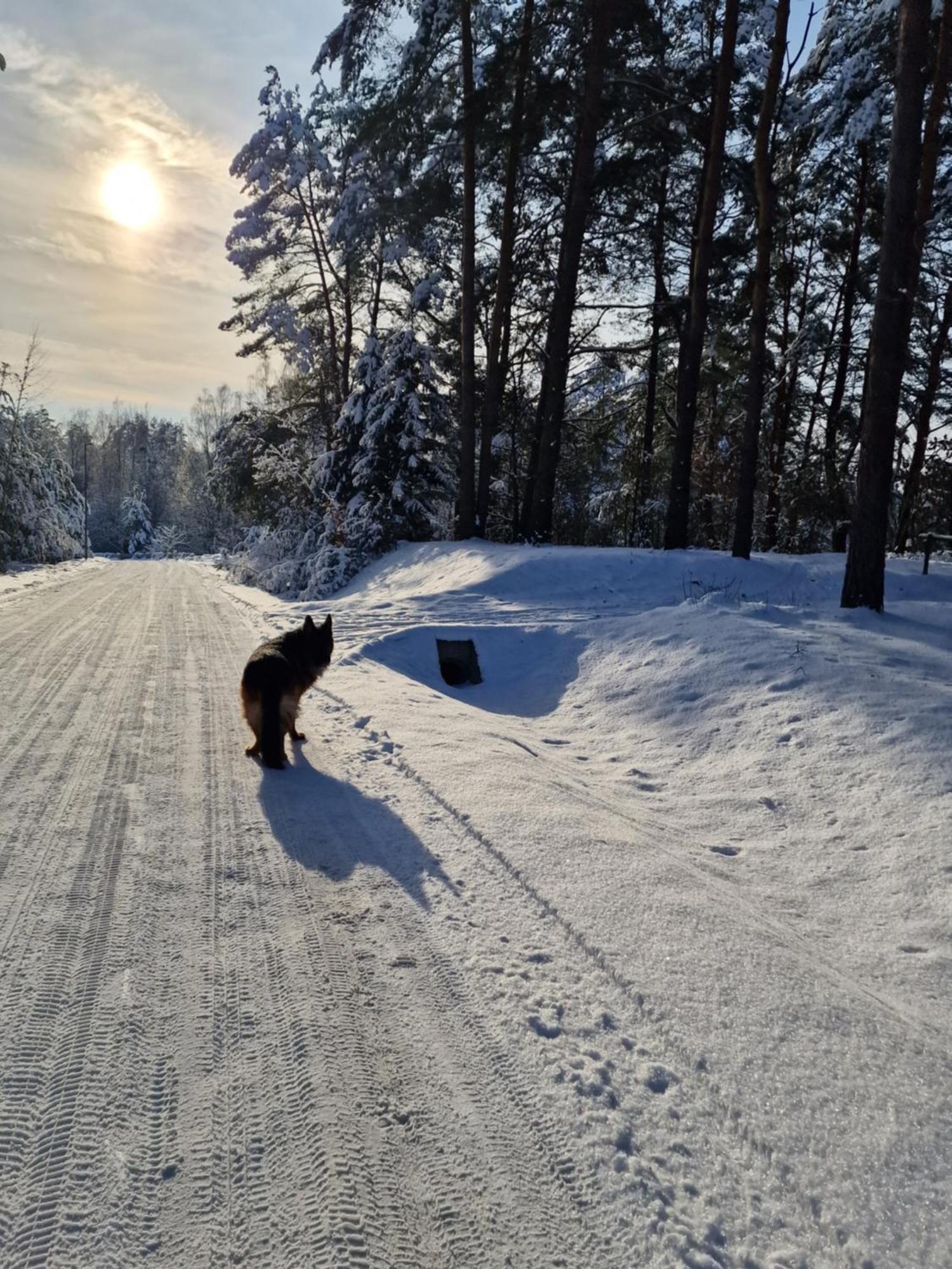 Apartamenty Mazury Mragowo Bagian luar foto