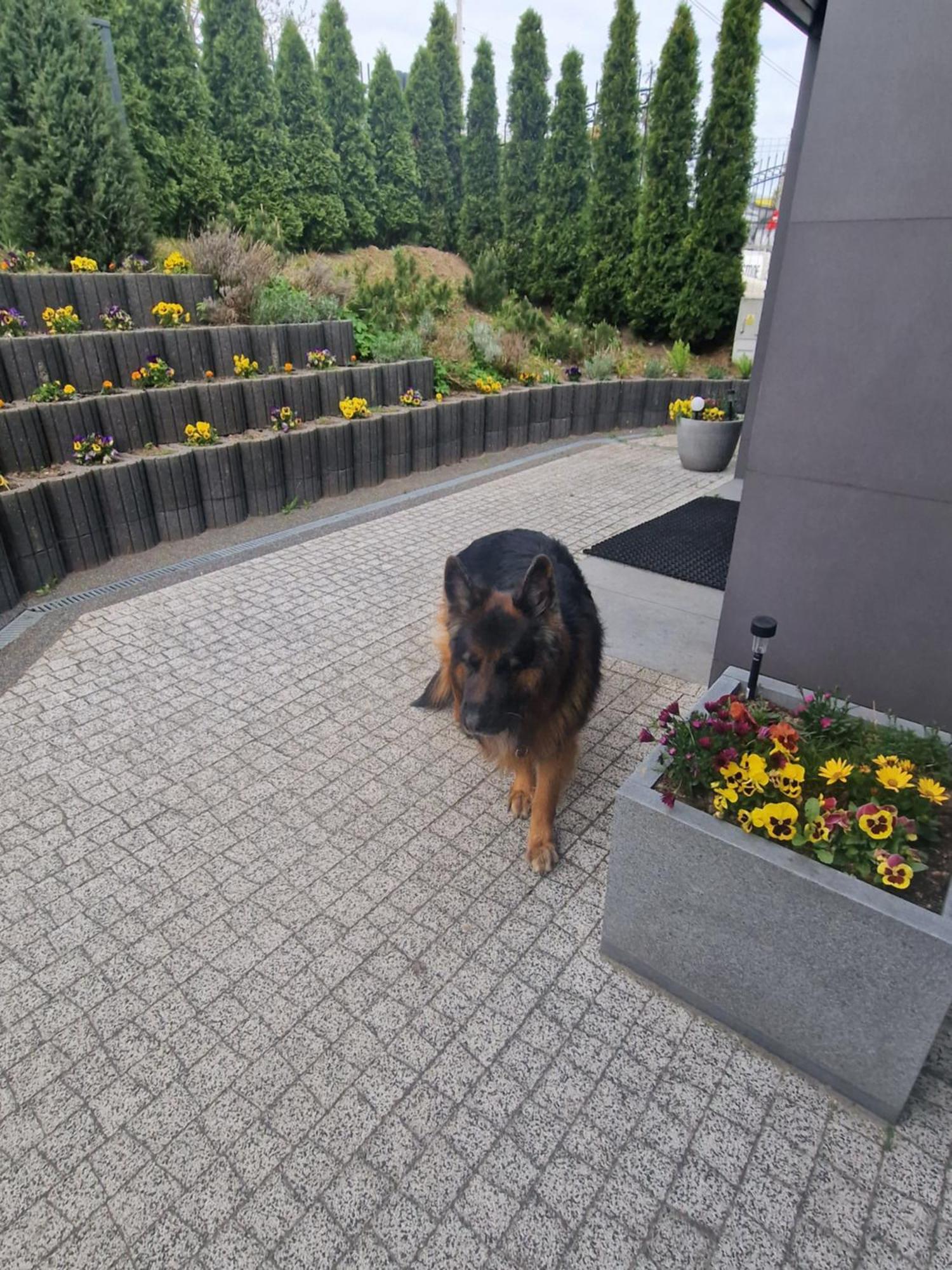 Apartamenty Mazury Mragowo Bagian luar foto